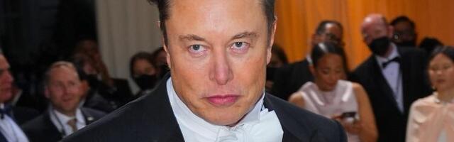 Grupa investitora tuži Maska zbog kraha dogekoina