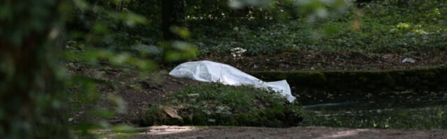 SUROVO UBISTVO U ŠUMI! Mučki likvidiran otac četvoro dece, sakupljač gljiva zanemeo kada je ugledao deo tela! ZBOG TRALJAVE ISTRAGE UBICA NA SLOBODI!