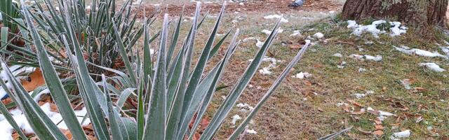 Kratkotrajni prestanak padavina, novo naoblačenje, pa od utorka do 20 stepeni