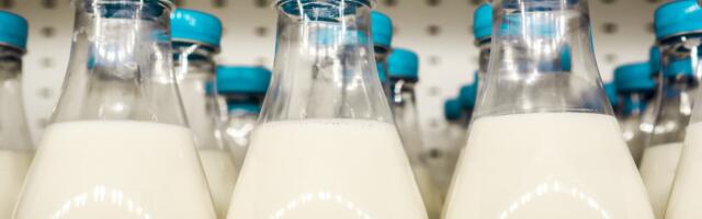 Ministar poljoprivrede o PROBLEMU SA MLEKOM u Srbiji: "Problem nije samo naš..."