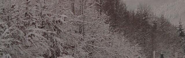 AMSS: Pojačan saobraćaj ka zimskim centrima, putevi uglavnom prohodni