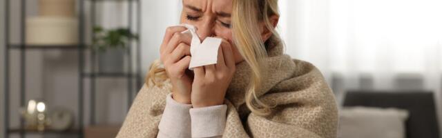 Moćne zamene za bakinu supu: Ove biljne namirnice čiste telo od virusa i vraćaju energiju za tren oka