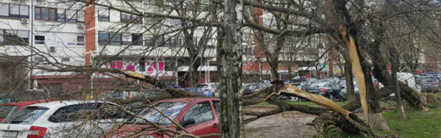 Црвени метеоаларм у Хрватској: орканска бура и удари ветра до 130 километара на сат