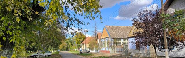 Tradicija duga 70 godina i ove godine oživela vojvođansko selo: Najmlađi se posebno radovali, svi se okupili