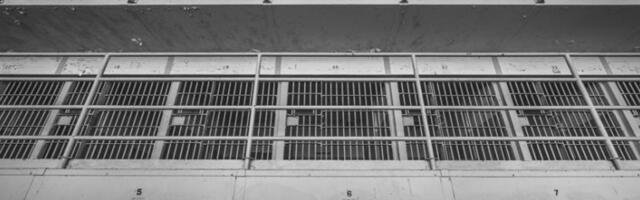 Британка опседнута нацизмом осуђена на 15 година затвора због покушаја убиства