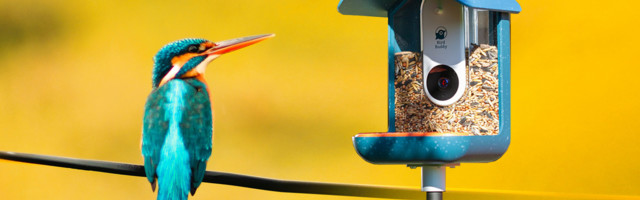 Slovenačka pametna kućica za ptice prikupila 4 miliona € na Kickstarteru