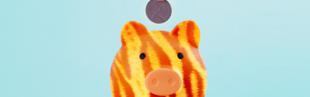 Možemo li da budemo ekonomski tigar ako nazadujemo na skali percipiranosti korupcije?