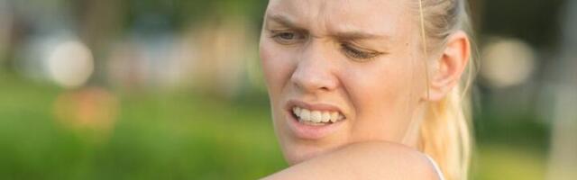 Šta privlači komarce i zašto su im neki ljudi "slađi"?