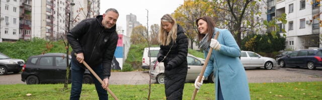 Carlsberg Srbija tim u akciji „Posadi svoj hlad“