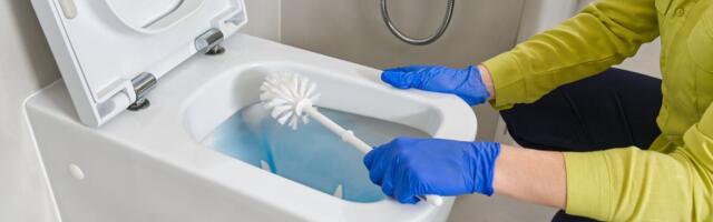 Zašto domaćice već godinama koriste limuntus: Najjednostavniji recept za čistu i belu wc šolju