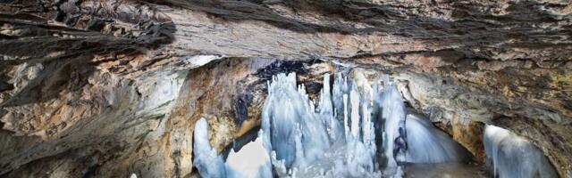 Na 420 kilometara od Beograda otkrivena superbakterija: Stara je 5.000 godina i otporna na antibiotike!