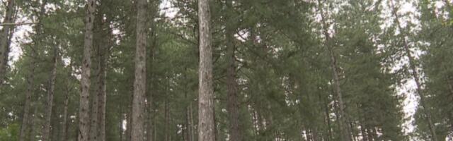 Tri prirodne lepote Srbije pred vratima Unesko: Da svet vidi