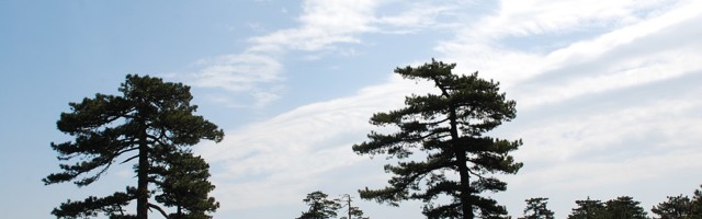 Planina Maljen kao predeo izuzetnih odlika stavljena pod zaštitu