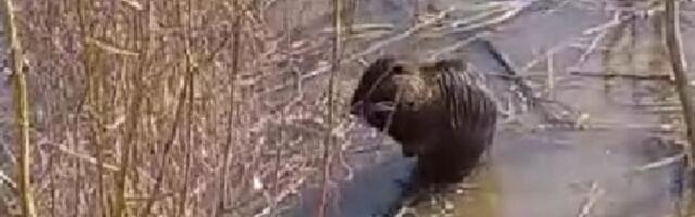 Dobar znak: I dabar podržao Ujedinjenu opoziciju (VIDEO)