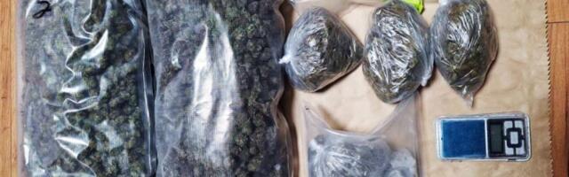 Muškarac uhapšen zbog posedovanja 2,5 kilograma marihuane i dve vagice za merenje