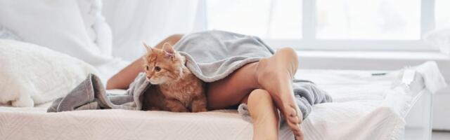 Šta znači kada mačka spava baš pored vaših nogu: Vlasnici često ne znaju koliko je ova navika važna