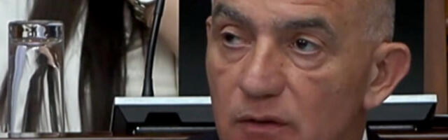 Вујић: Србија посвећена реформама због грађана, а не само због пута ка ЕУ