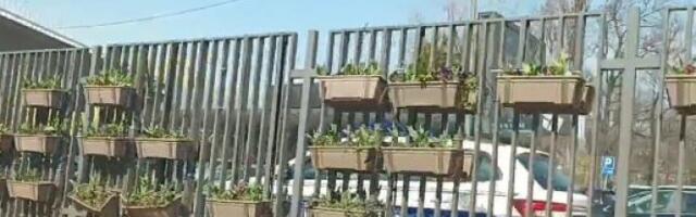 TEŽAK UDES U BEOGRADU! Oborene žardinjere, probijena ograda, automobil smrskan... Karambol kod sajma, veliki broj policajaca na licu mesta! (VIDEO)