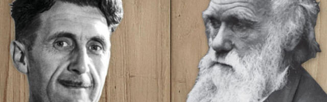 „Животињска фарма” у „Дадову”