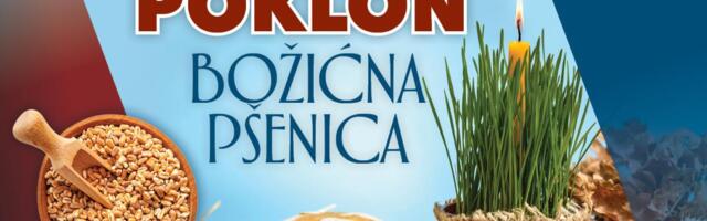 POSEJTE PRAZNIČNU RADOST: UPAKOVANA „BOŽIĆNA PŠENICA“ SUTRA NA POKLON UZ KURIR
