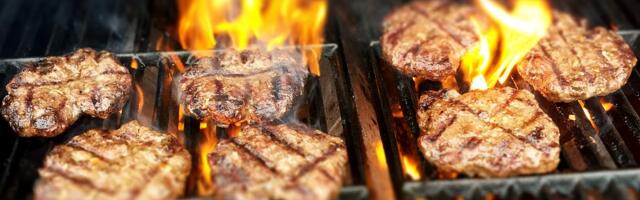 Specijaliteti sa juga Srbije među najboljim na svetu