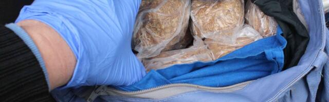 Uhapšena žena iz okoline Zaječara zbog šverca duvana: Oštetila budžet za više od milion dinara