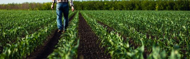 Od poljoprivrede se ne odustaje: Siniša nije se pokajao što je ostao na zemlji, ljubav jača od muke