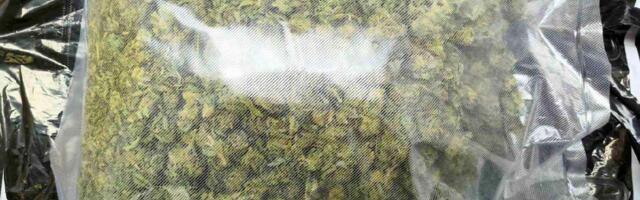 Dvedeset dva budistička monaha i 110 kilograma marihuane