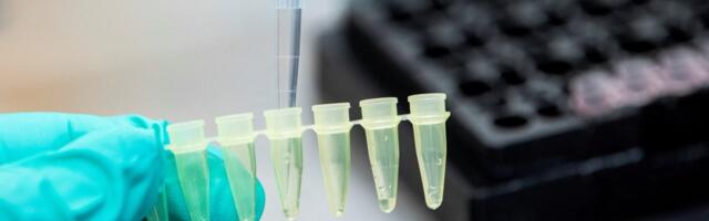 Slovenia expects Omicron variant to become dominant soon