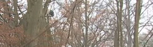 Krenuo je da renovira luksuzno imanje, a ono što je OTKOPAO U PODRUMU ostavilo je celu državu bez teksta! (FOTO)