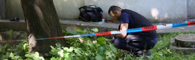 HOROR U DOBANOVCIMA Radnik pronašao lobanju na gradilištu