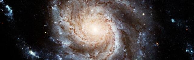 Dnevni horoskop za utorak 9. decembar: Ribe će se zaljubiti, a jedan znak će započeti novi posao