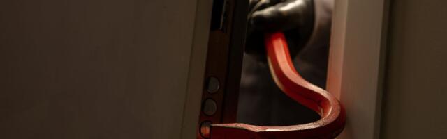 Lopovi ukrali Geteovu statuu ispred srednje škole u Hamburgu, ostale samo cipele