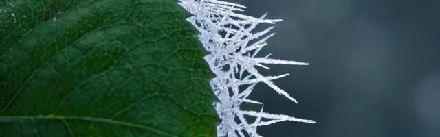 Hladan završetak 2025. godine