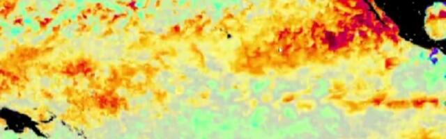 Klimatski "monstrum" preti požarima i nestašicom vode celoj planeti: Dramatično upozorenje naučnika