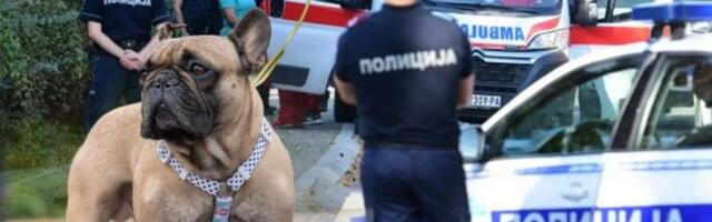 IMALA NEVEROVATNIH 3,97 PROMILA PA KRVNIČKI PRETUKLA MAJKU: Detalji jezivog nasilja u Beogradu, lekari zatekli ženu u stanju teškog trovanja?!