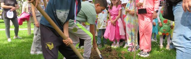 JKP Šumadija: Raspisan likovni konkurs „Spasi planetu – brini o životnoj sredini“