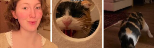 Zahvaljujući OVOJ PESMI mačka konačno izašla iz kupatila svoje hraniteljke posle 23 dana