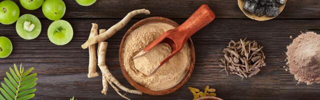 San, koža i mentalna jasnoća: Koje benefite ašvaganda može doneti ženama u svakodnevnom životu