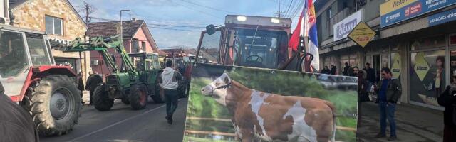 Mlekarska kriza na Balkanu: Farmeri traže zaštitu, tržište preplavljeno uvozom