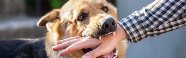 LAŽIRALI NAPADE PASA DA BI UZELI 1.5 MILIONA Pančevci dovodili lekare u zabludu, tužilaštvo pokrenulo istragu