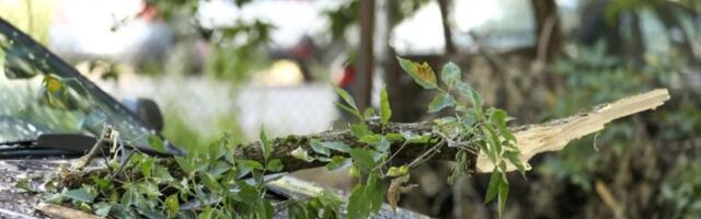 STIŽU OLUJNI UDARI Jak vetar u OVIM delovima Srbije