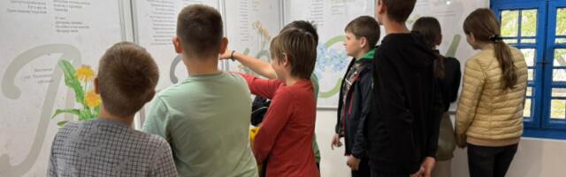 Место где језик цвета