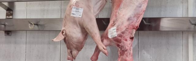 Uhapešna dva privrednika iz Leskovca – skladištili “škodljivo” meso u neregistrovanoj hladnjači