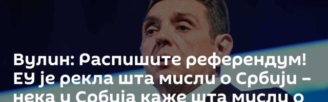 Вулин: Распишите референдум! ЕУ је рекла шта мисли о Србији – нека и Србија каже шта мисли о ЕУ