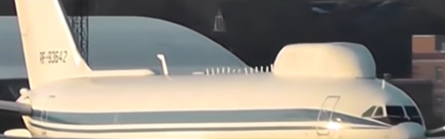 Pilot zaustavio avion kako bi bezbedno prošla beba ježa