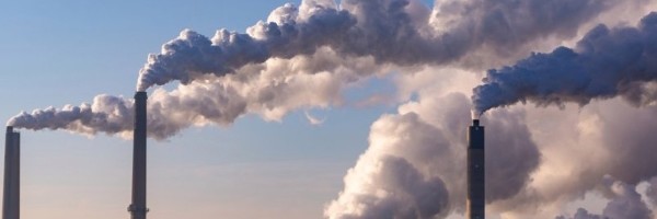 Ekosistem naše planete nalazi se u alarmantnom stanju