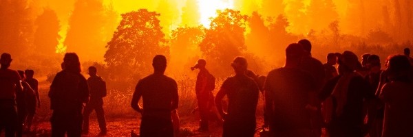UN šalje novo upozorenje civilizaciji - Šteta koju pravimo može biti nepopravljiva