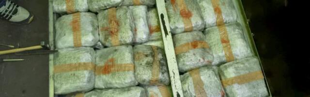 Na prelazu Bački Breg zaplenjeno 155 kilograma marihuane, uhapšena jedna osoba
