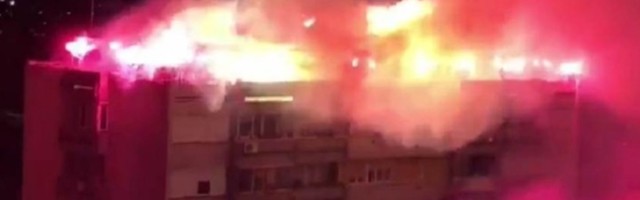 Ljubodrag Stojadinović: Anatomija straha